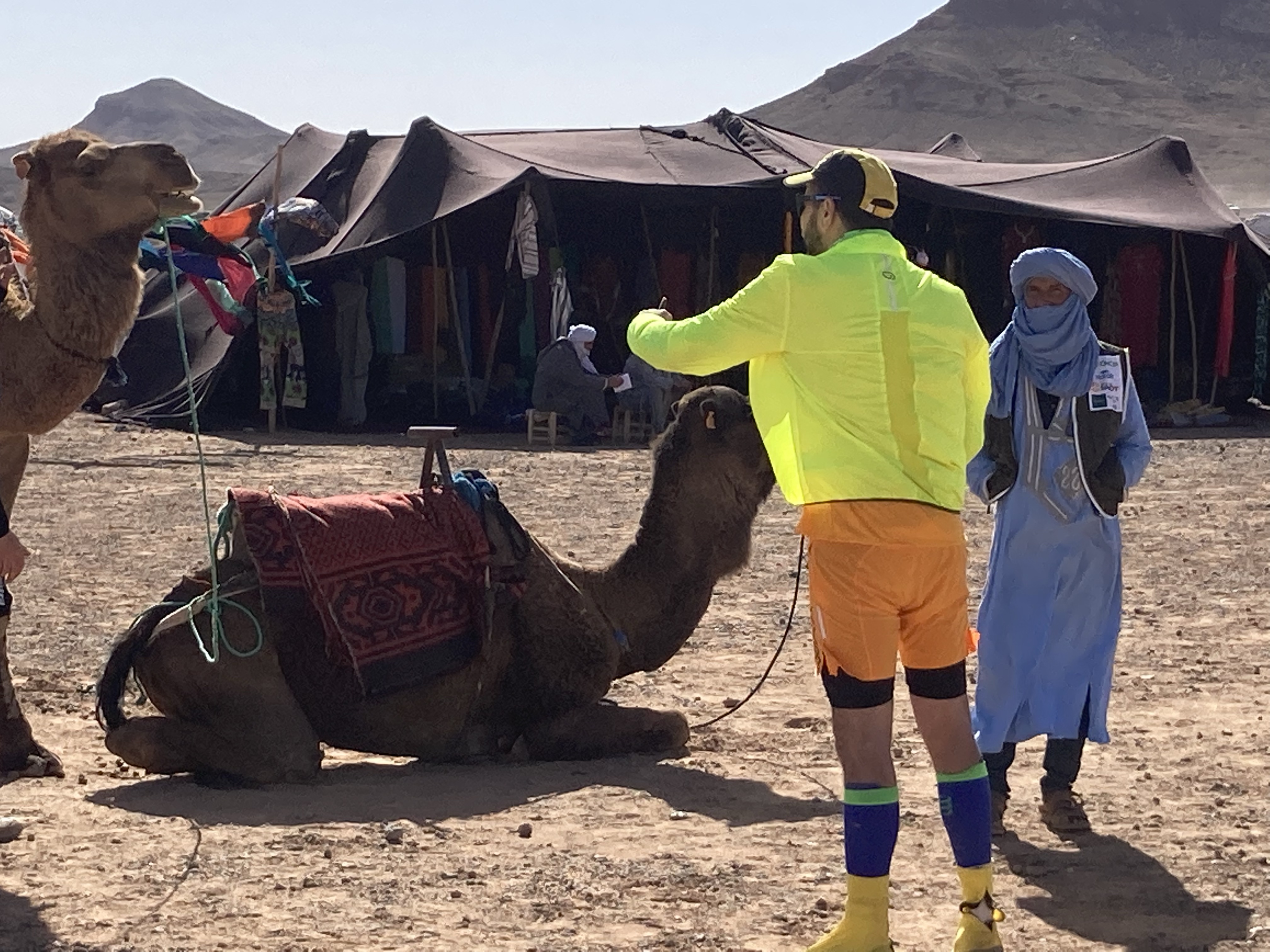 Camel in the MdS camp